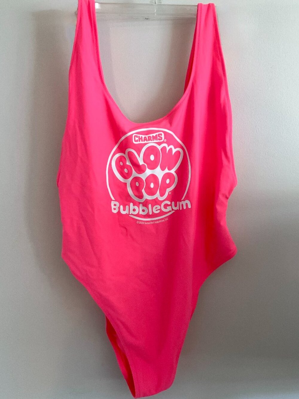 Aerie One-piece Bathingsuit